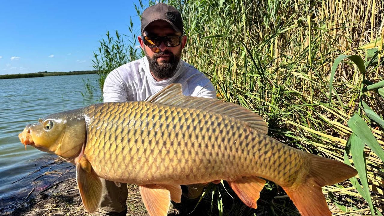 !!! НЕЙМОВІРНА РИБАЛКА біля озера !!! Ти не повіриш, що сталося!