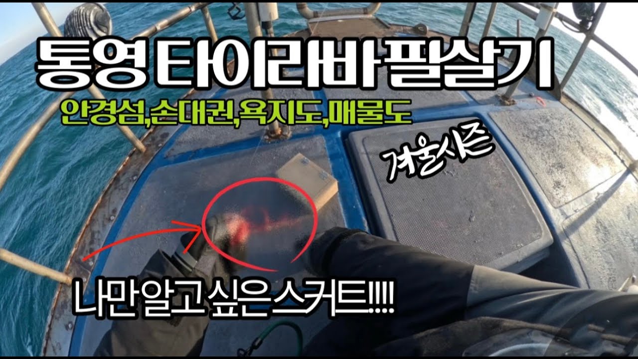 겨울시즌 통영권 참돔 타이라바 필살기를 소개합니다 [낚진남]