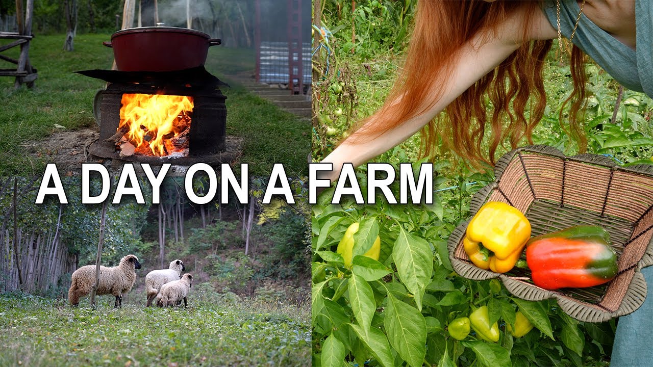 Growing Vegetables In My Garden | Slow Country Life