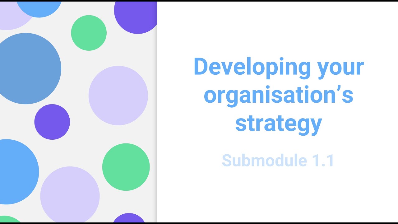1.1. Developing your Organisation's Strategy