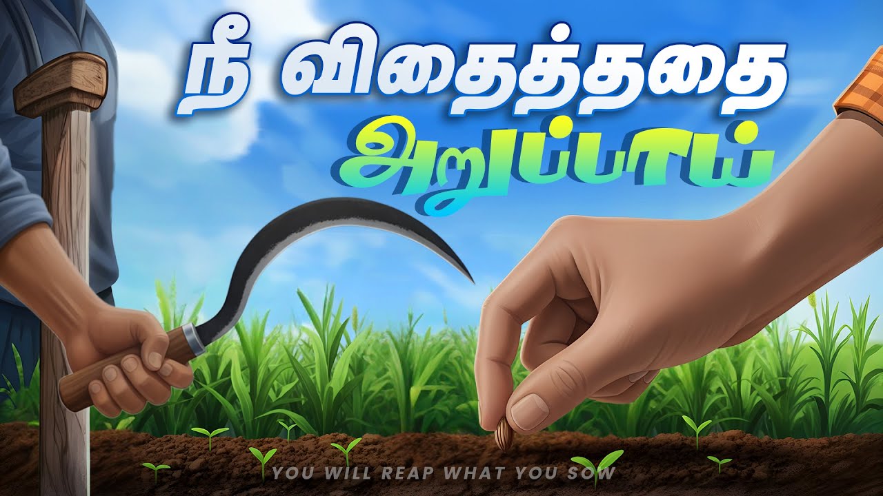 நீ விதைத்ததை அறுப்பாய் - YOU WILL REAP WHAT YOU SOW