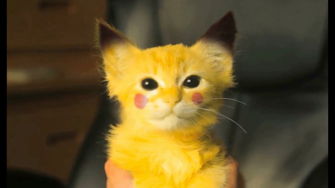 He got the real Pikachu - Top 10 Funny Magic Tricks of Zach King - POKEMON GO Compilation