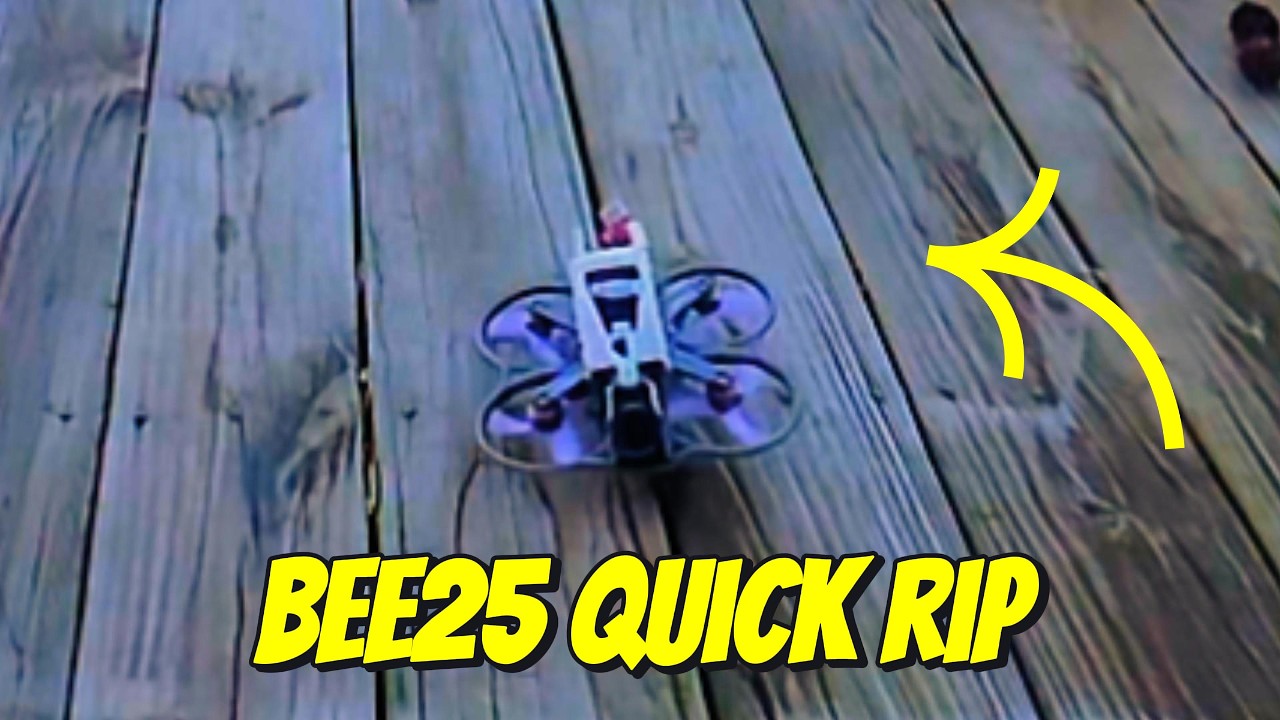 SpeedyBee Bee25 Backyard Rip 🚀 Tight Gaps & Smooth Freestyle Around the Property