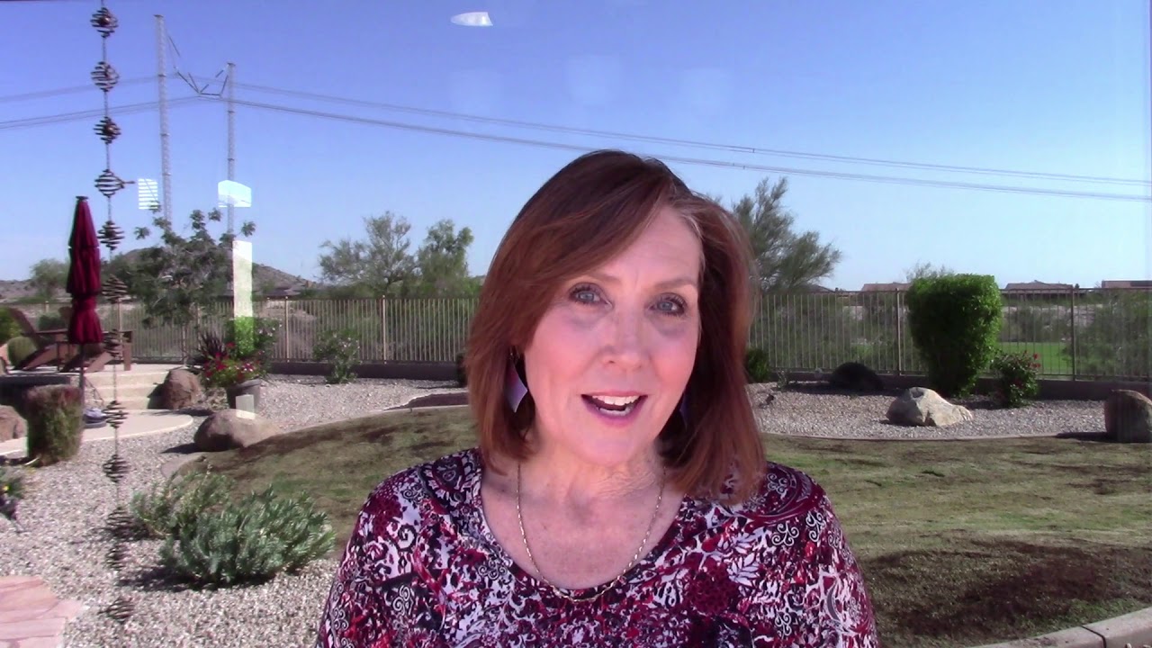 Carla Howard: The Professional Woman's Mentor
