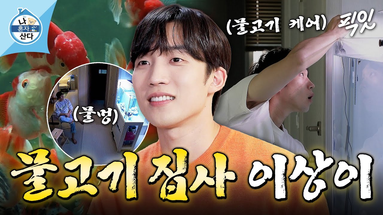[나혼자산다] 거대 수족관에서 물고기 이름 줄줄 외우는 배우 이상이의 남다른 물고기 사랑 MBC201009방송 #나혼산 #이상이