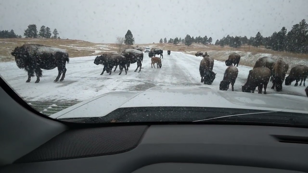 South Dakota Traffic Delay.