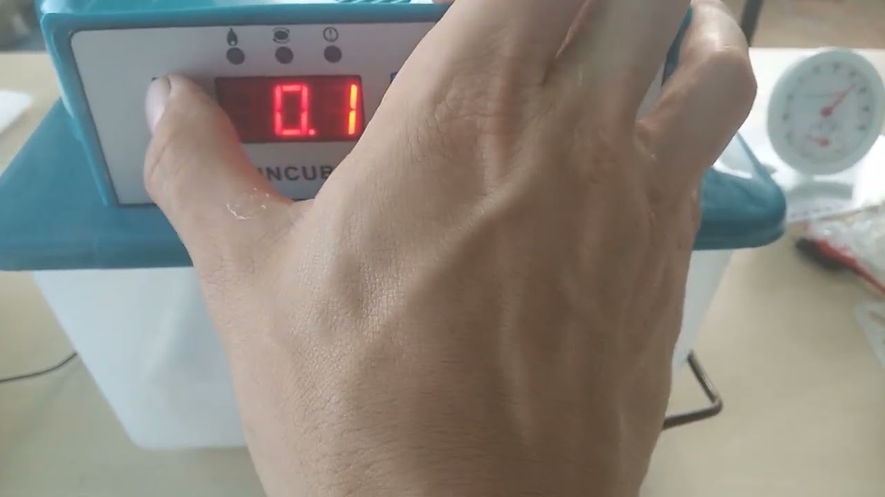 Tutorial INCUBADORA amazon ¿Cómo funciona? Programar temperatura, giro, alarma... (Huevos pato)