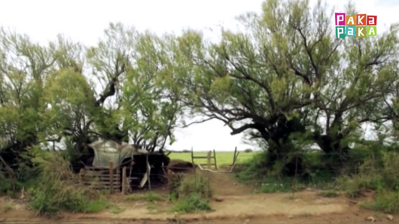 Dale que II: Hombres de campo - Canal Pakapaka