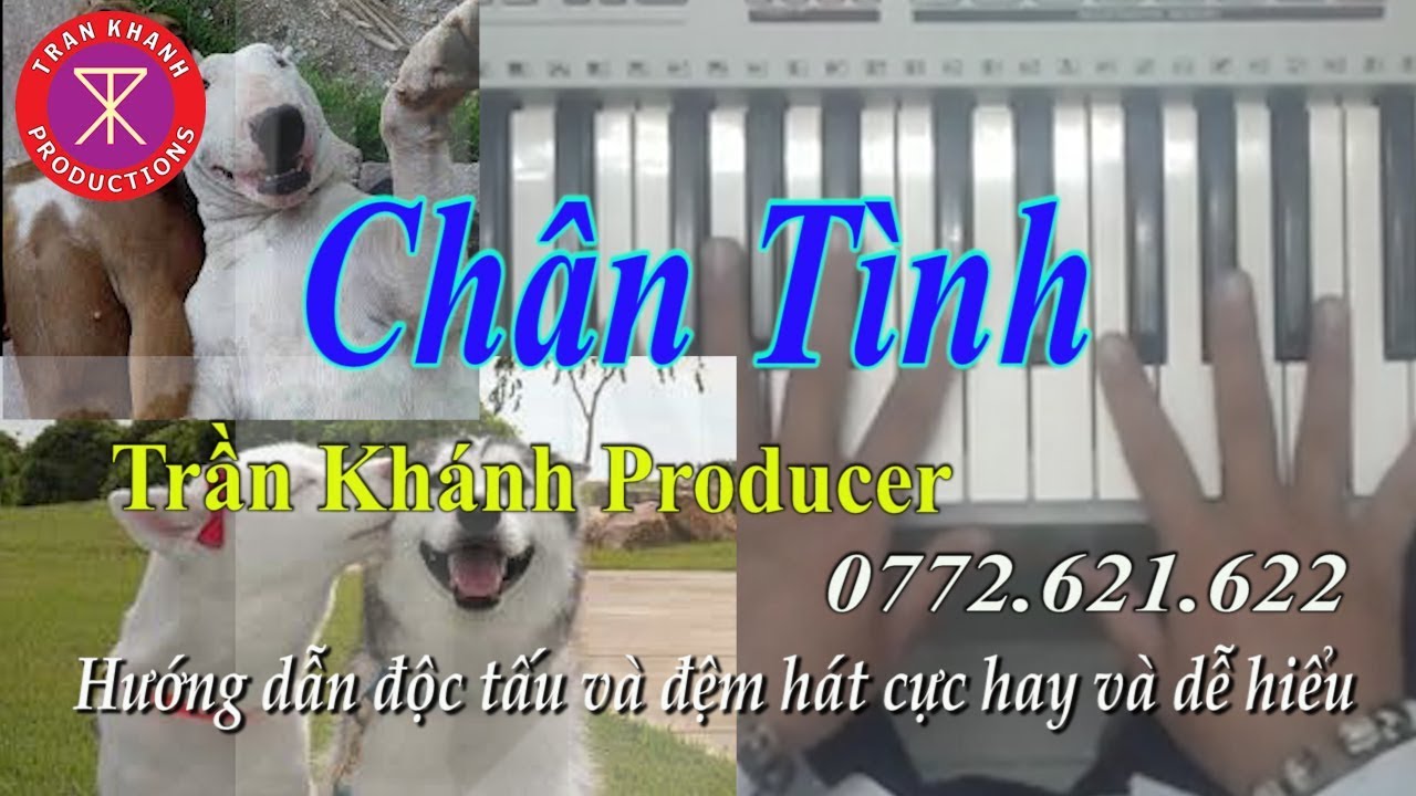 Chân Tình - Hướng Dẫn ORGAN | Trần Khánh