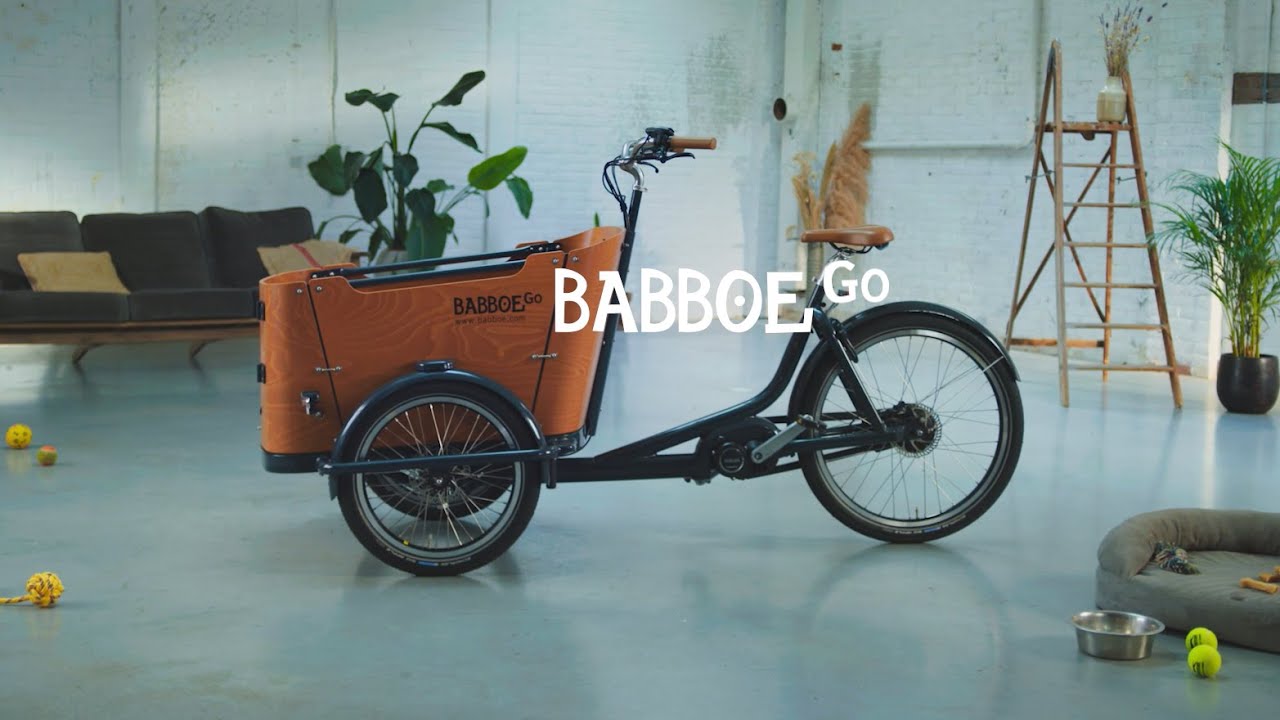 The Babboe Go