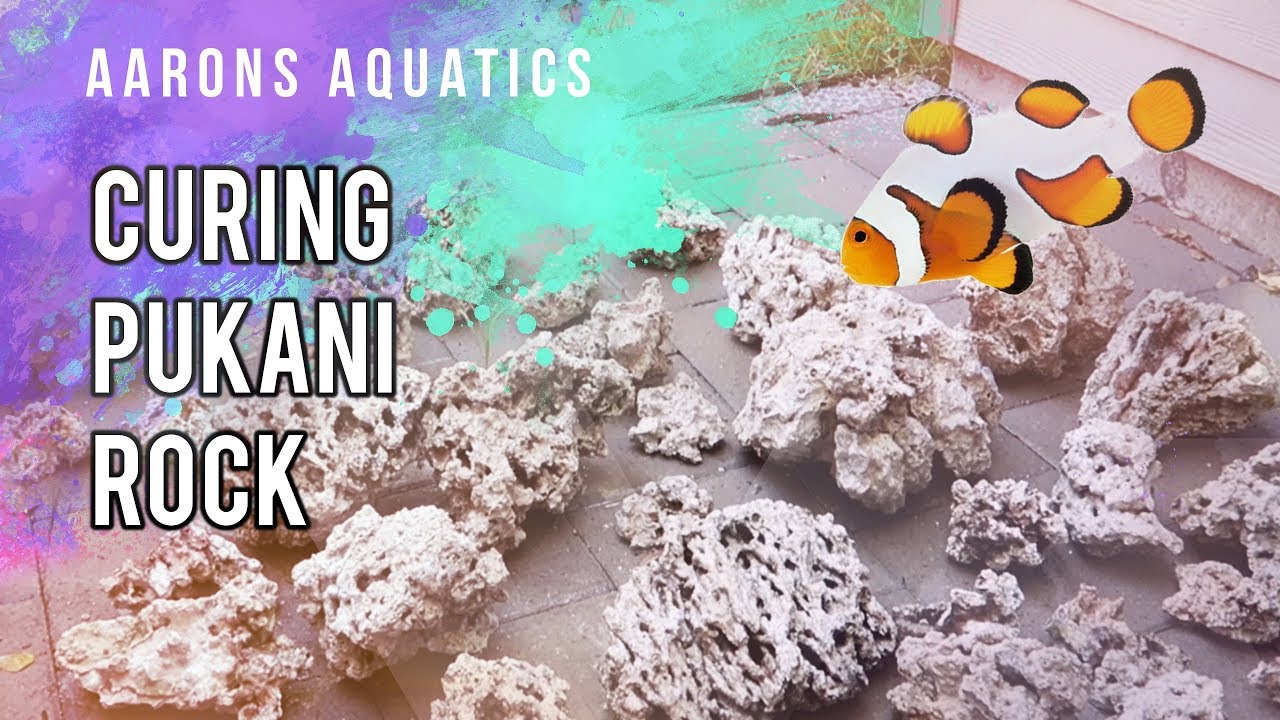 250 Gallon Saltwater Build | Part 1 - Curing Dry Rock (Pukani)