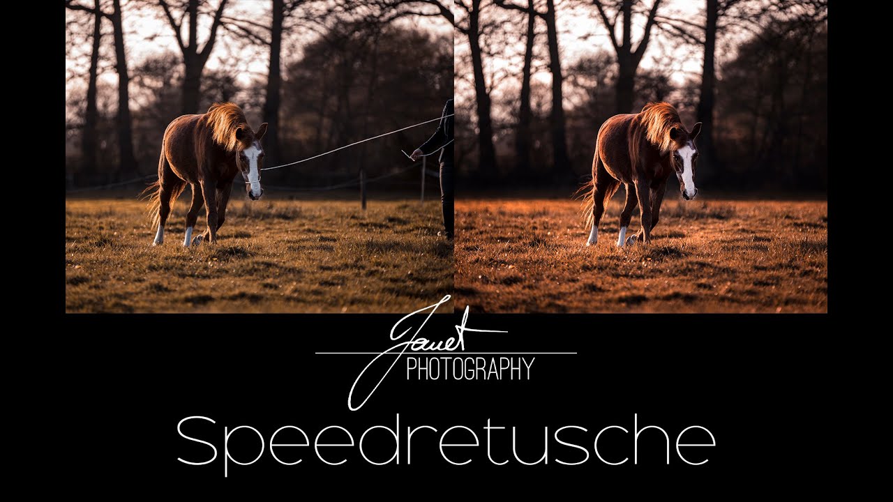 Speedretusche / Pferdeportrait / Pferdefotografie Nr. 3 // Janet Photography