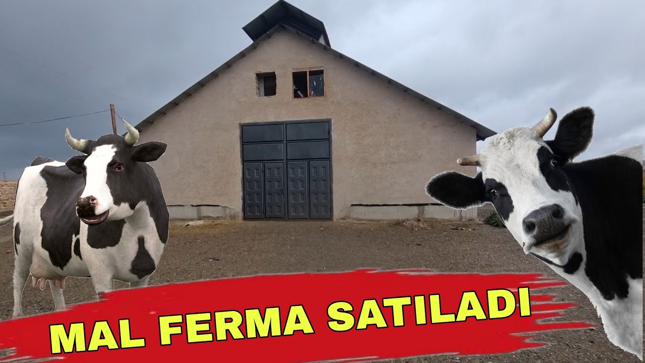 МАЛ ФЕРМА САТЫЛАДЫ.