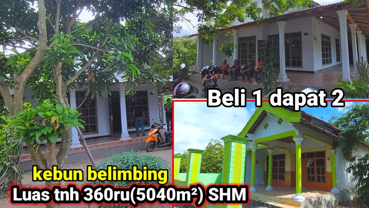 BELI 1 DAPAT 2 RUMAH dan TANAH LUAS DI KAMPUNG