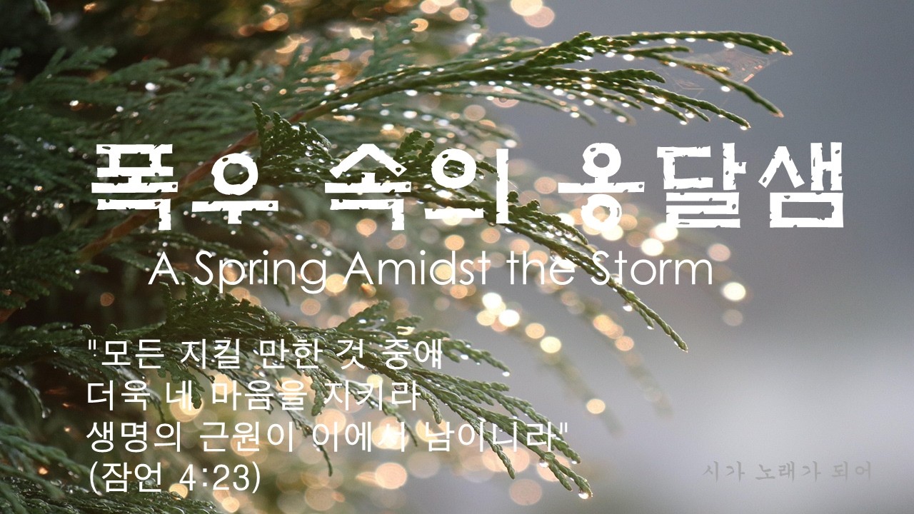 [K-Fado] 폭우 속의 옹달샘 | A Spring Amidst the Storm | 