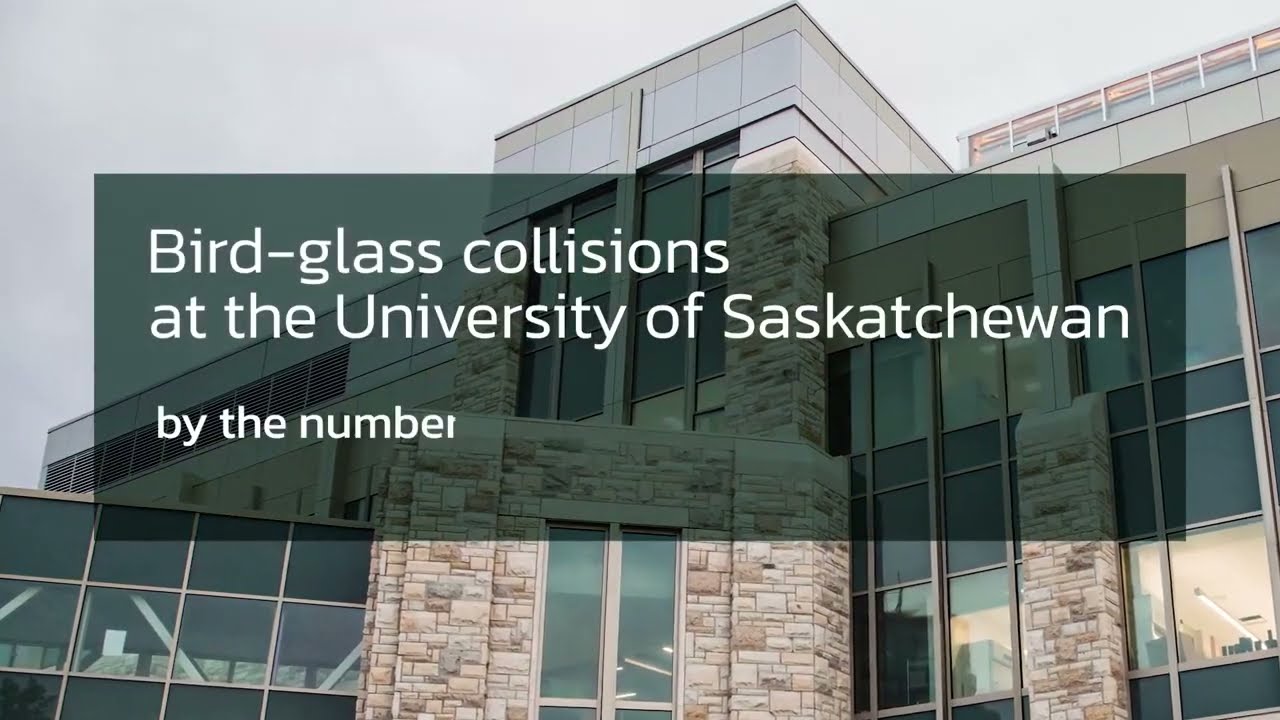 Bird-Glass Collisions at the University of Saskatchewan