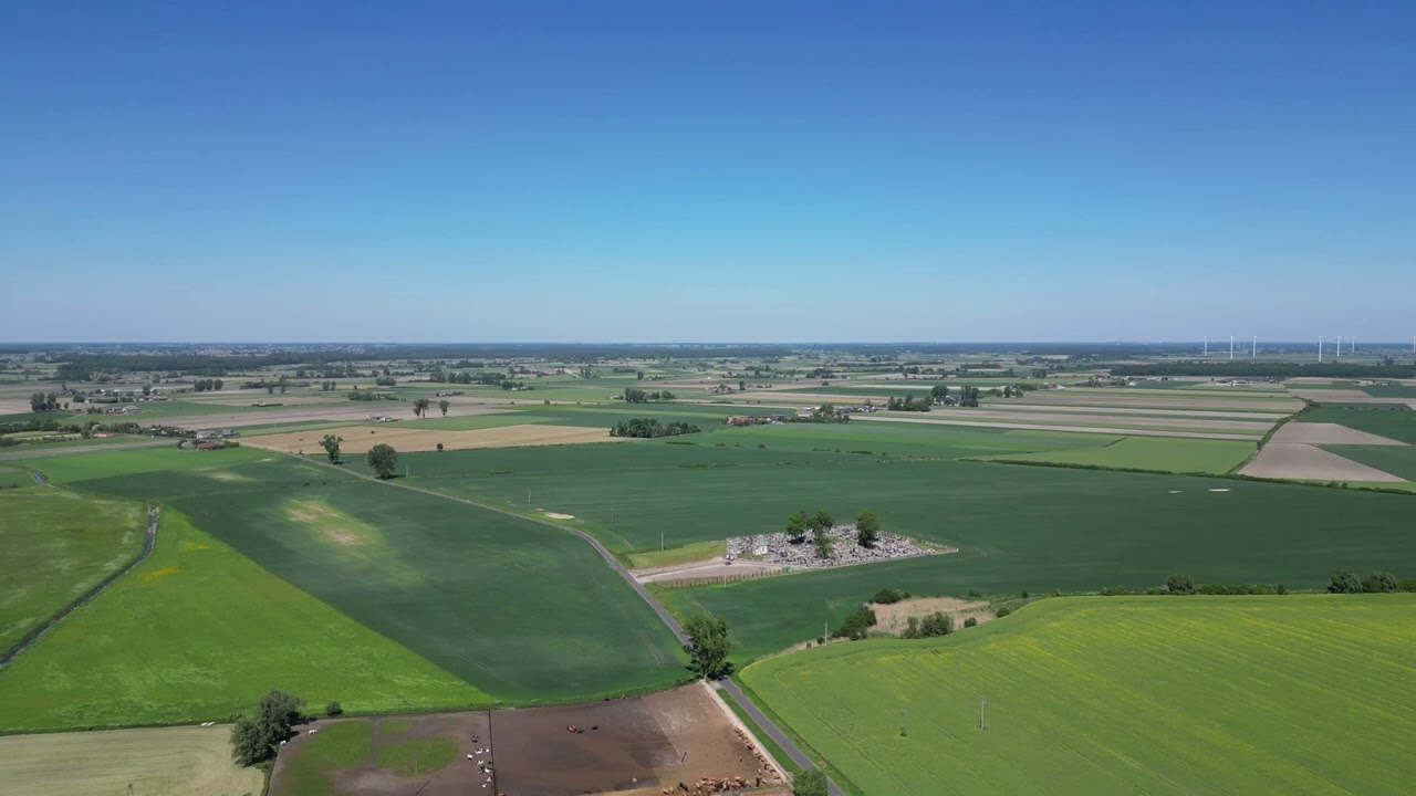 Dzierzbice. Krzyż w polu.