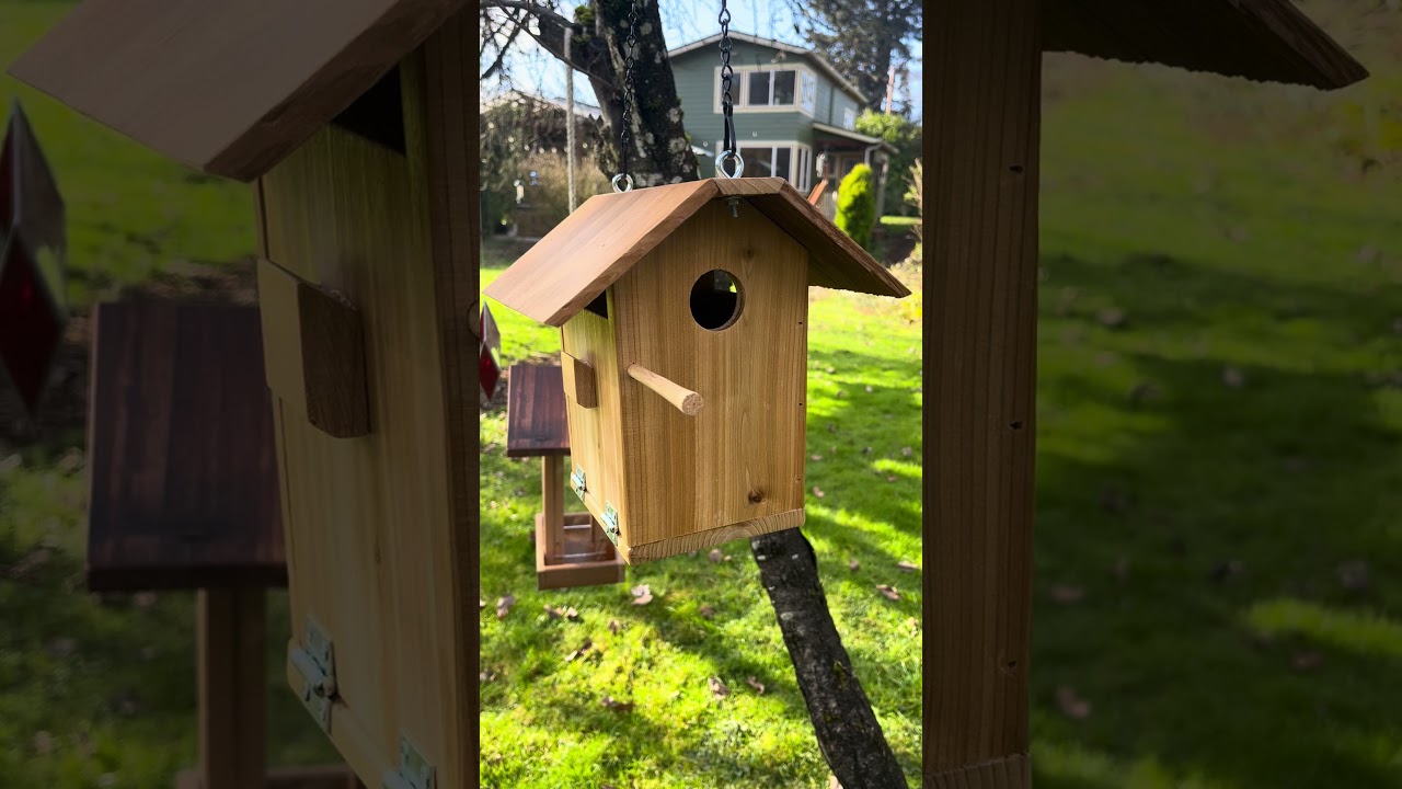 New Birdhouse design made with recycled cedar  