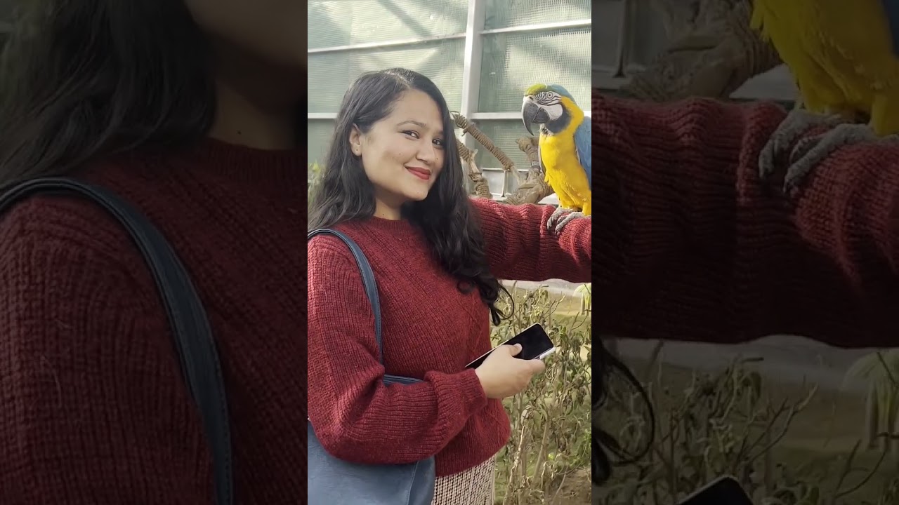 Chandigarh bird park🦜🦜🦜#chandigarhbirdpark #chandigarh #chandigarhcity#parrots
