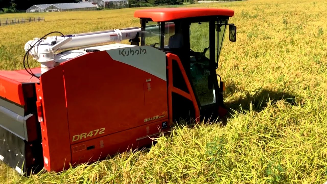 Kubota combine harvester DR472 クボタの4条72馬力コンバインで刈り取りSTAR🏃‍♂️