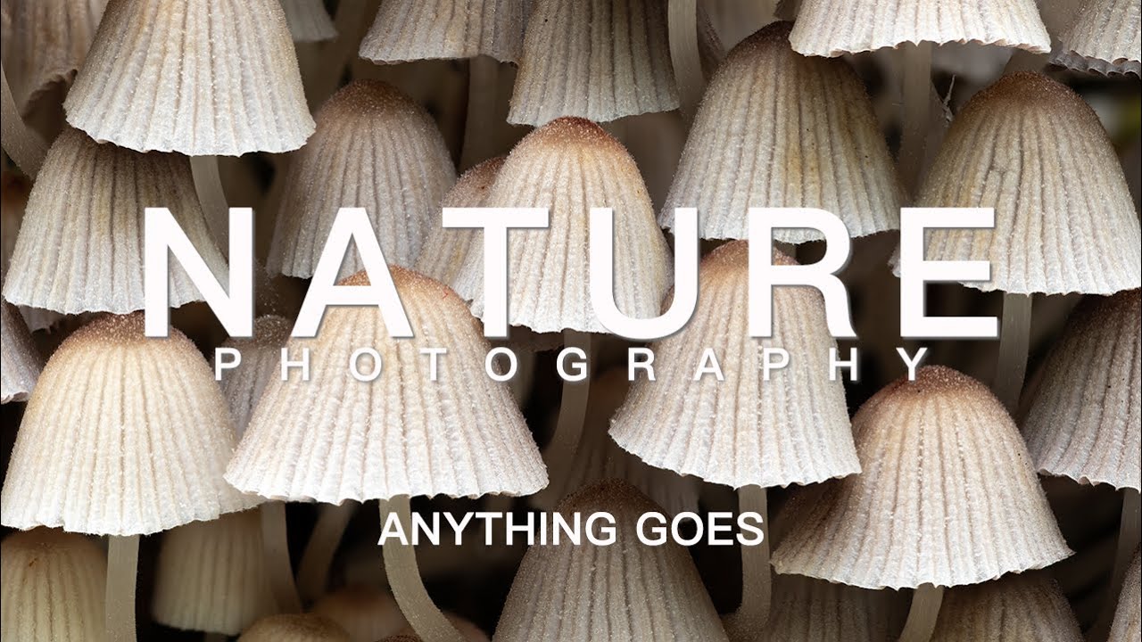 Nature Photography | Anything Goes