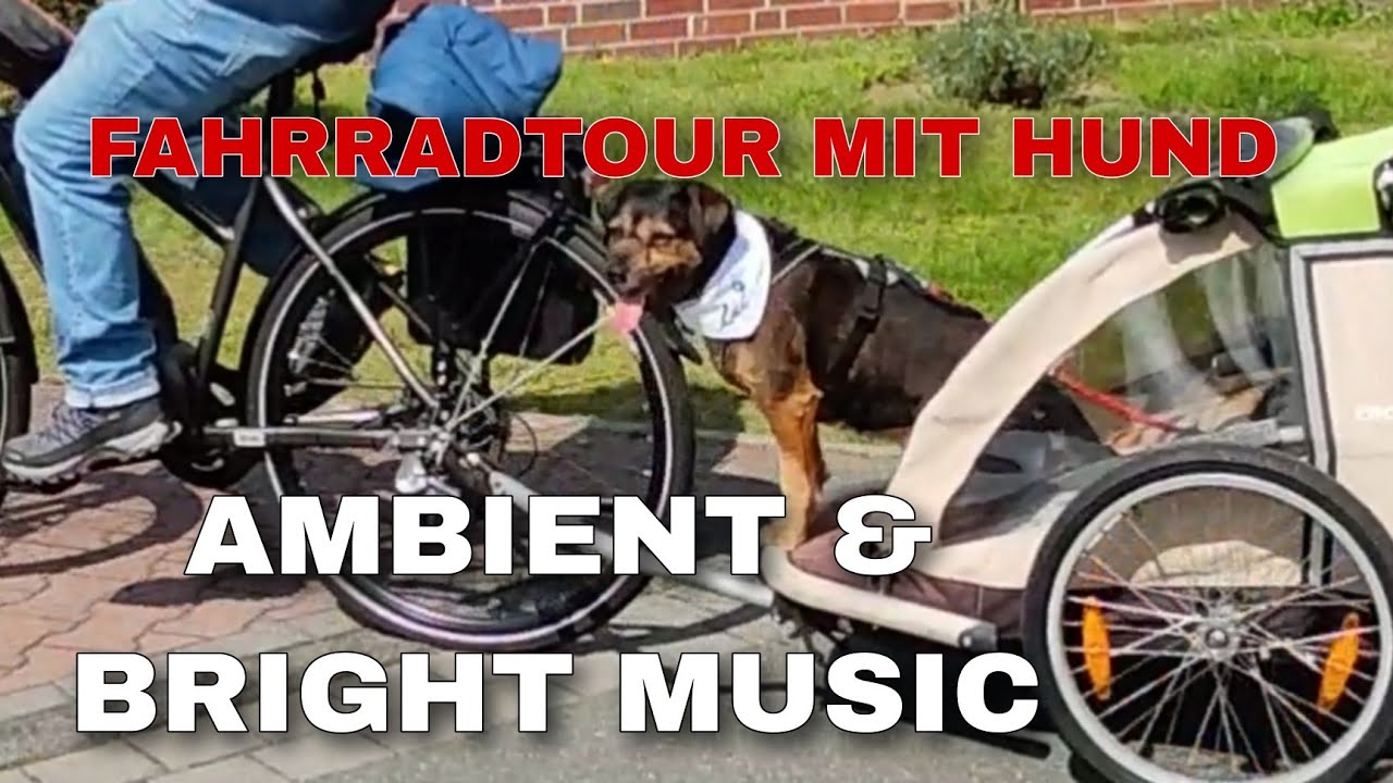 BIKE TOUR with Dog #biking #hund #dog #nature #countryside