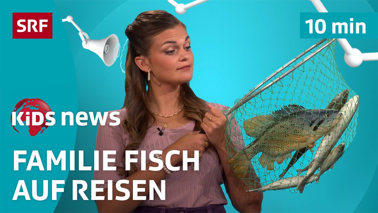 SRF Kids News: Wenn 12&rsquo;000 Fische umziehen 🐟 | Nachrichten f&uuml;r Kinder