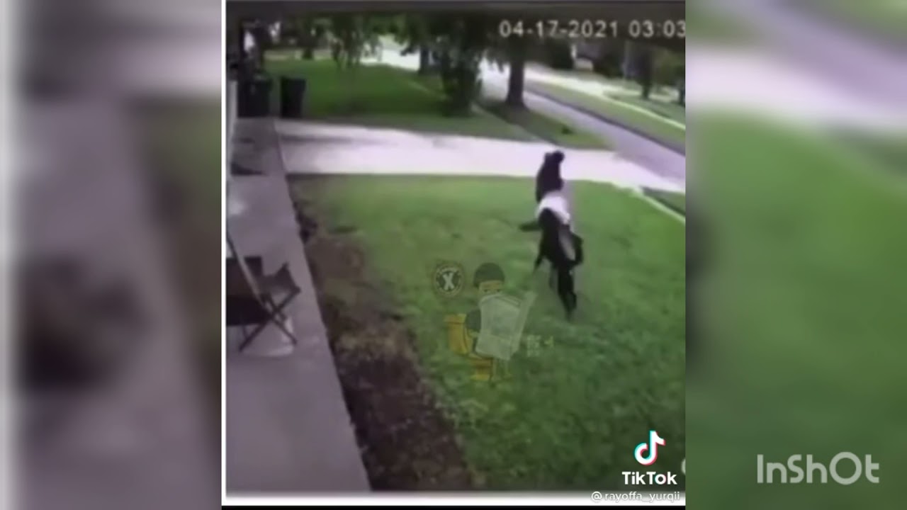 man save dog from coyote