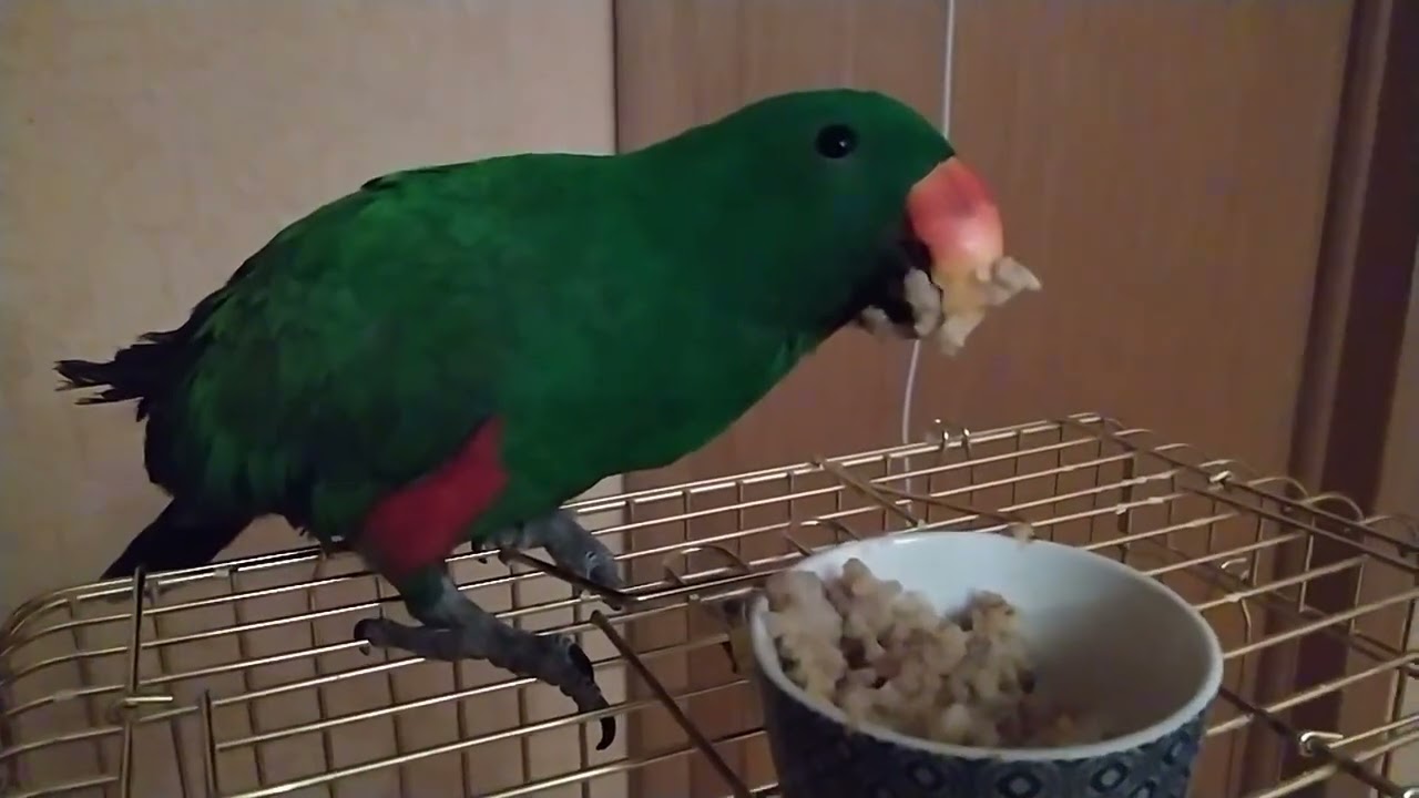 Кушает кашу