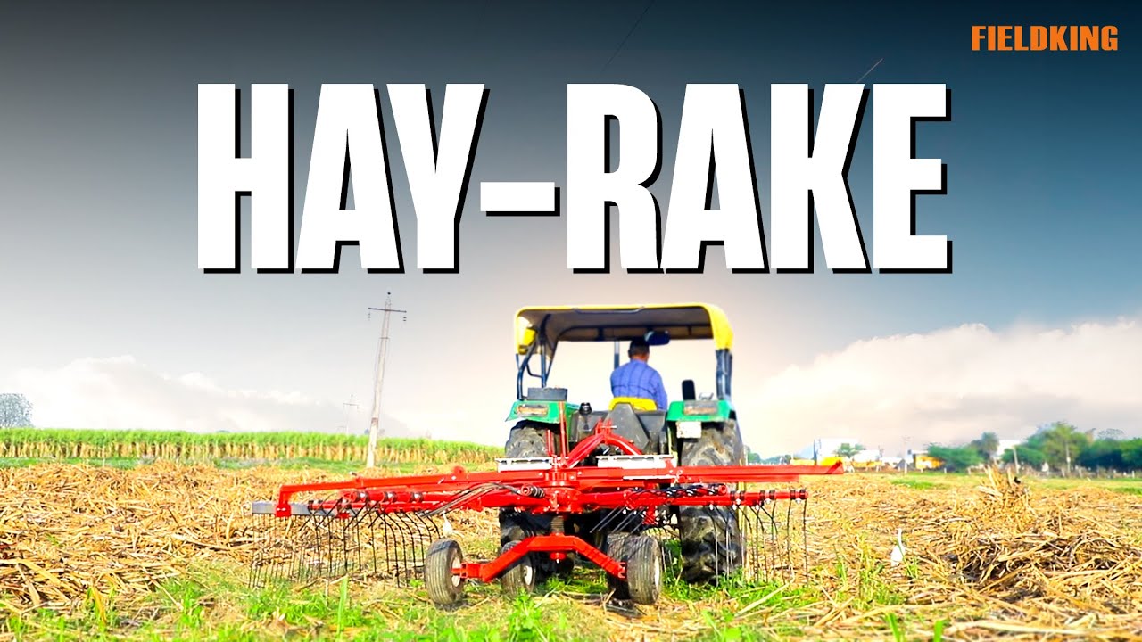 Fieldking Rotary Hay Rake
