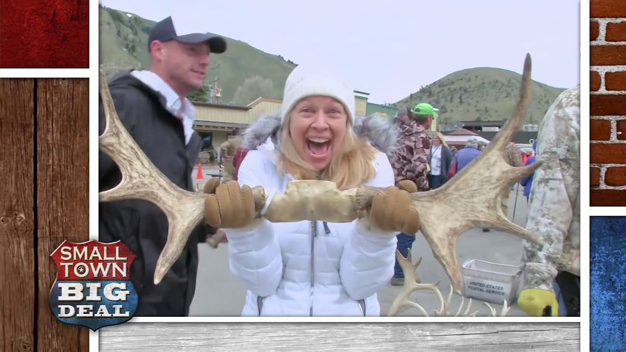 It’s Elkfest in Wyoming!