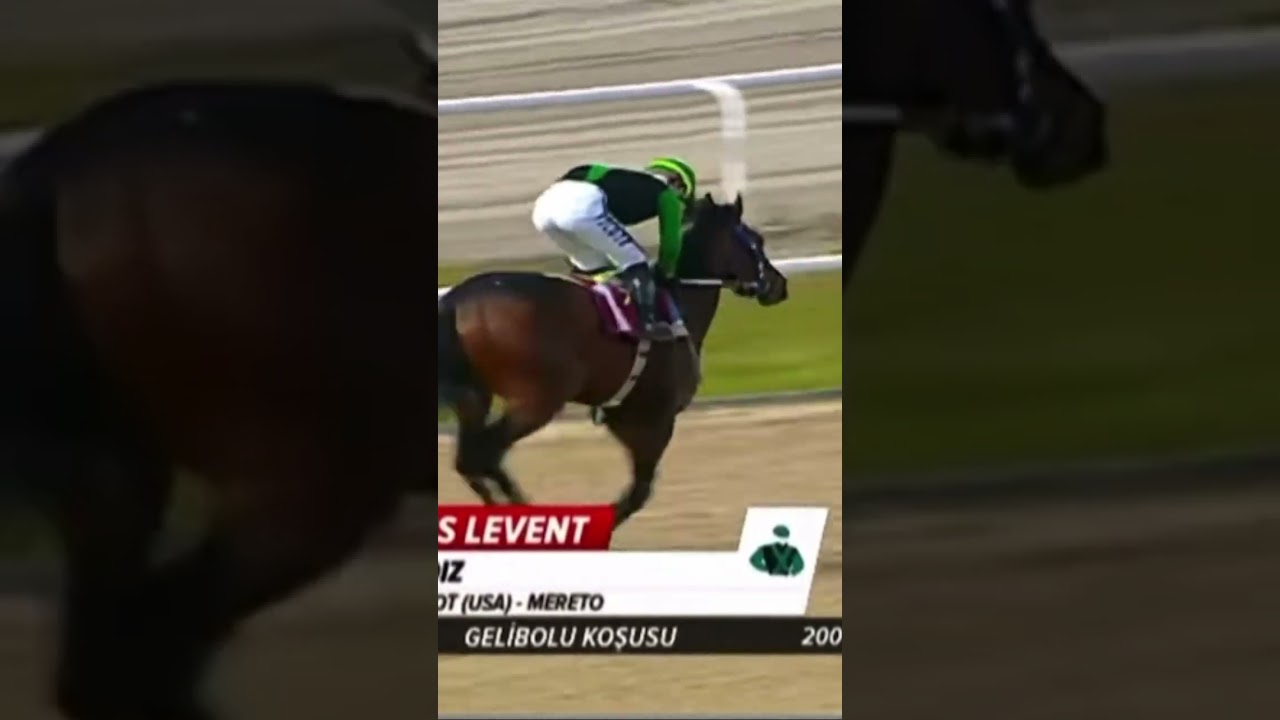 12 Eyl&uuml;l 2025