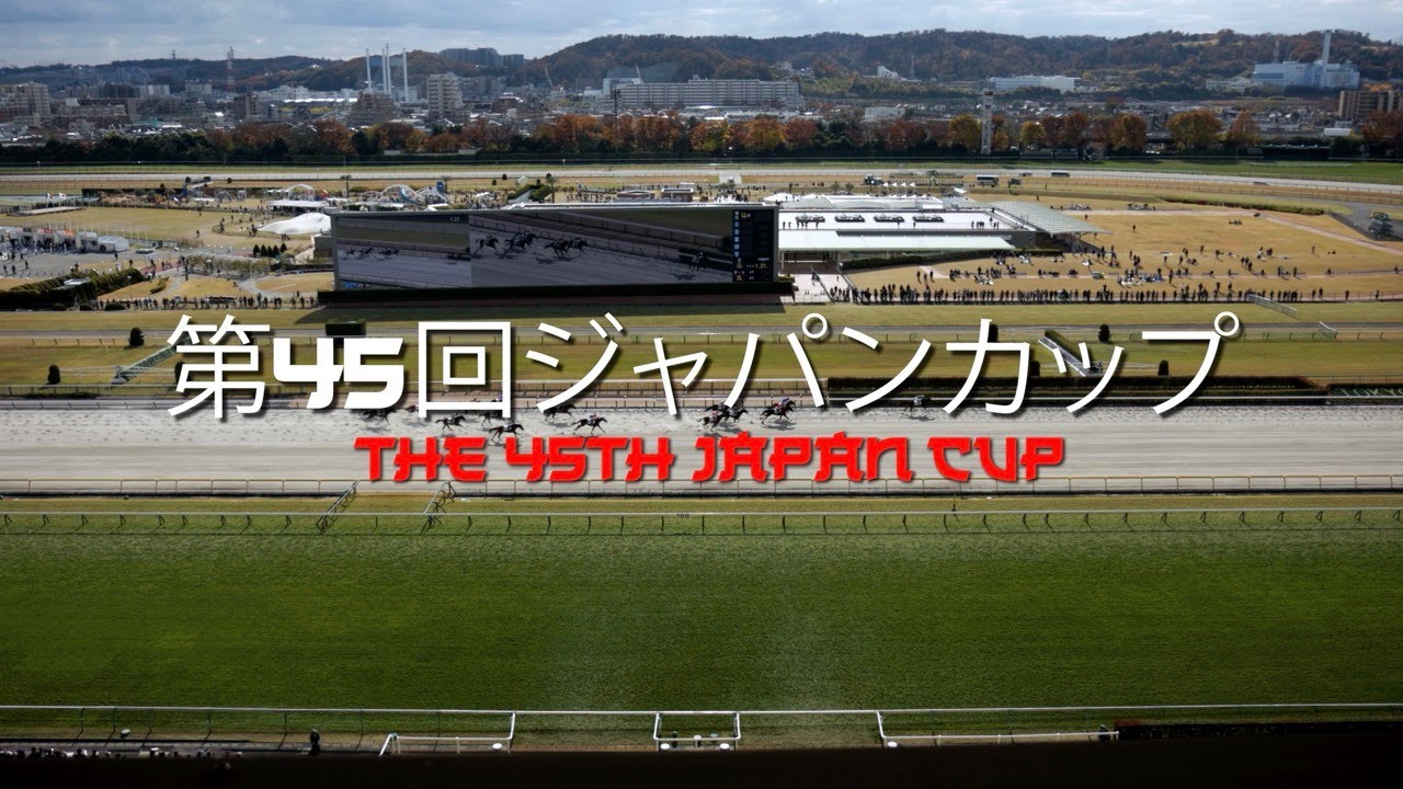 ジャパンカップを体験しよう：東京で競馬と馬の祭典