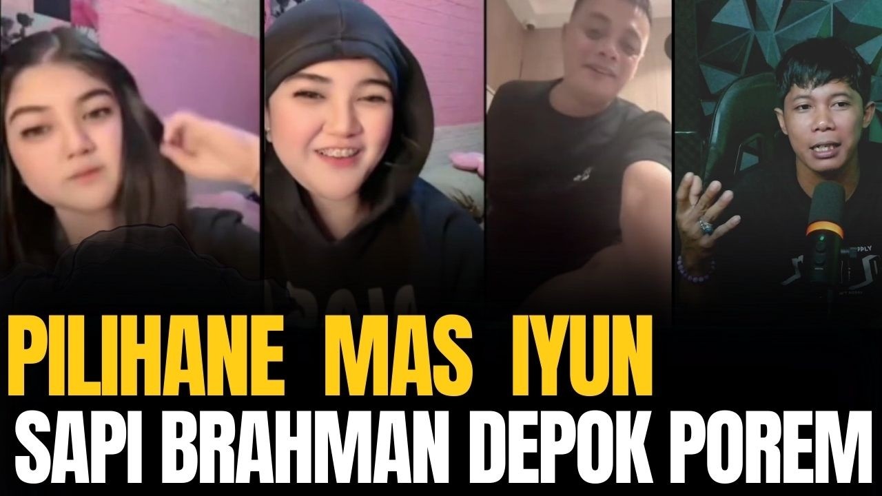 NITA SPANYOL  DIPANTAU MAS IYUN TANYA BAYU SAPI PILIHANE