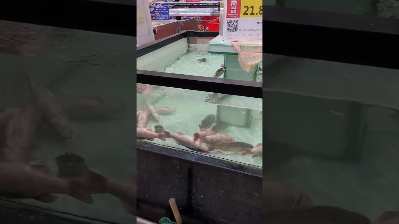 Water foods in China.     ( Chinese Supermarket) 