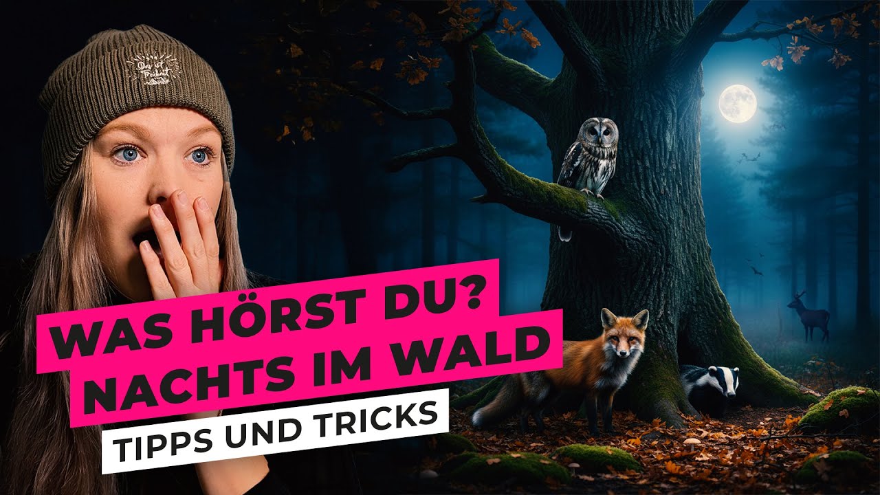 Nacht im Wald: 12 Geräusche, die du kennen musst