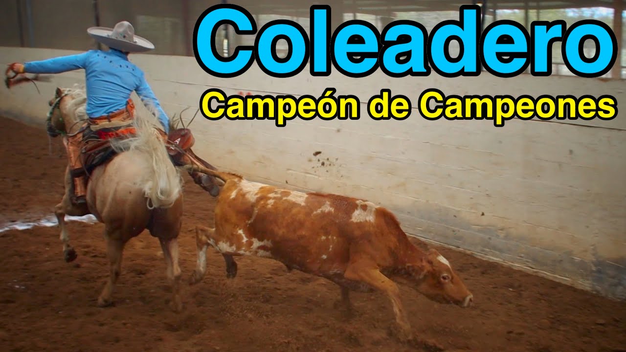 Coleadero Campeón de Campeones