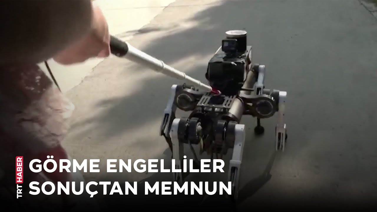 Robot rehber köpek görme engellilere yardımcı oluyor