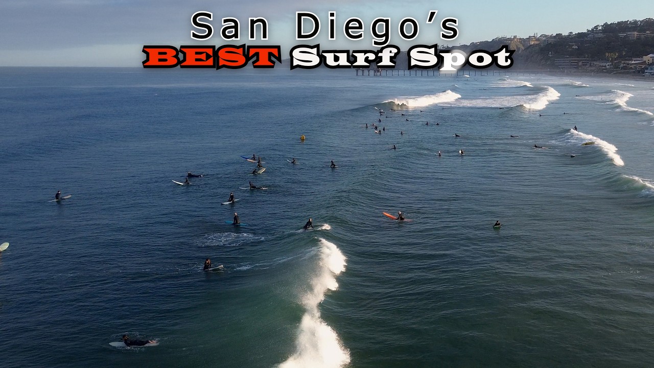 WAVES of the WEEK SAN DIEGO