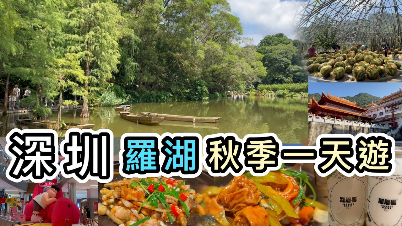 【深圳】地鐵直達：國家4A旅遊景區仙湖植物園👊附完整一天路線👊晚飯：金光華商場➕蔻蔻椰➕順德菜👊深圳好去處2023｜深圳一日遊｜蓮塘口岸｜深圳景點｜深圳美食｜深圳商場｜深圳打卡點