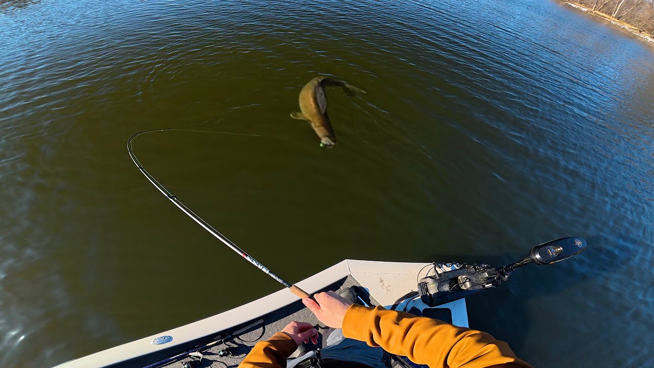 Walleye on EVERY Cast!