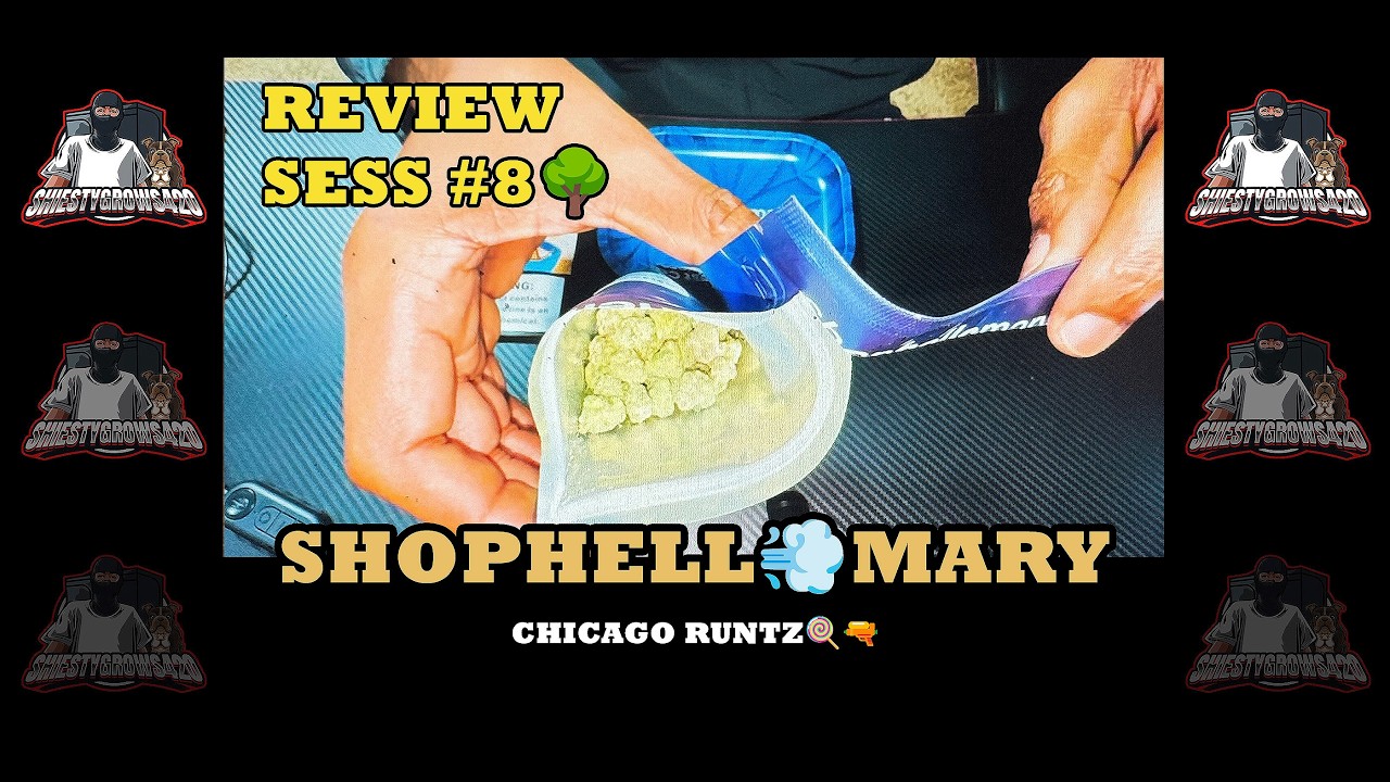 ​ @ShopHelloMaryOfficial Review Sess#6 -THCA- CHICAGO RUNTZ🍭🔫: SAVE 10% USE CODE &ldquo;SHIESTYG420&rdquo;