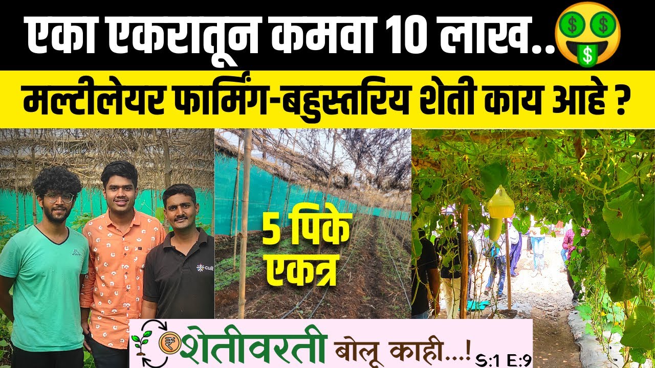न्यूझीलंडची लाखोंची नोकरी सोडून युवक झाला शेतकरी | मल्टीलेयर फार्मिंग | Multilayer Farming System