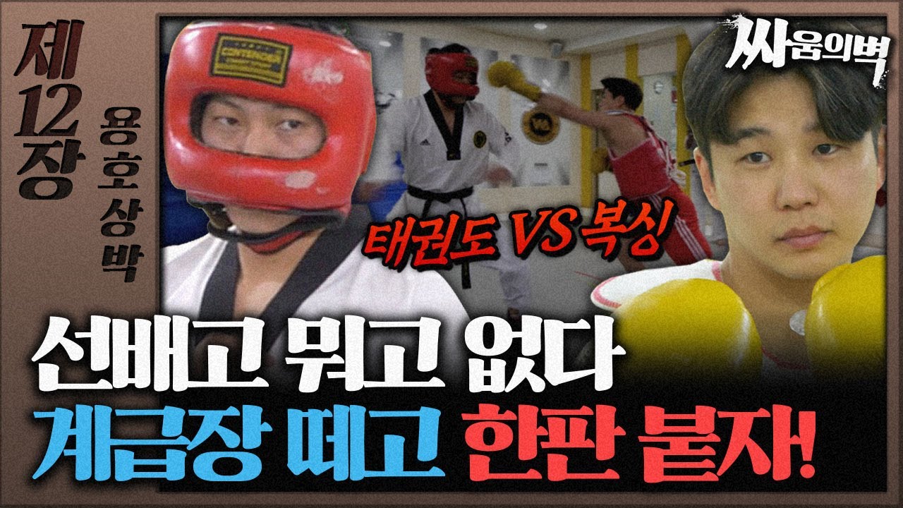 [싸움의벽] 제12장 용호상박 