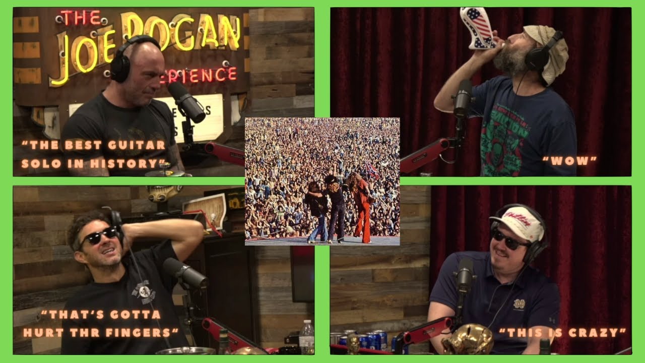 Joe, Ari, Mark & Shane Vibe to Free Bird By Lynyrd Skynyrd - Protect Our Parks 9