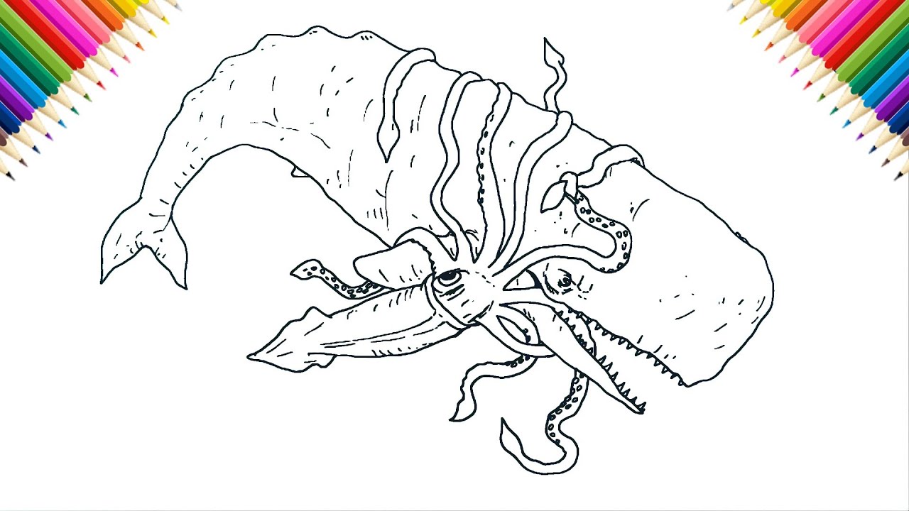 Giant Squid vs Sperm Whale How to Draw | step by step