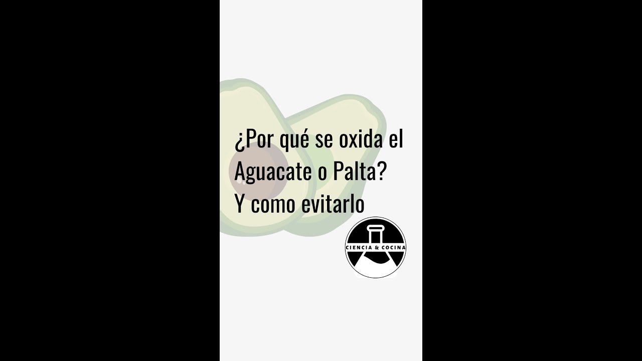 &iquest;Por qu&eacute; se oxida el Aguacate o Palta? +Tips #cienciaycocina #shorts