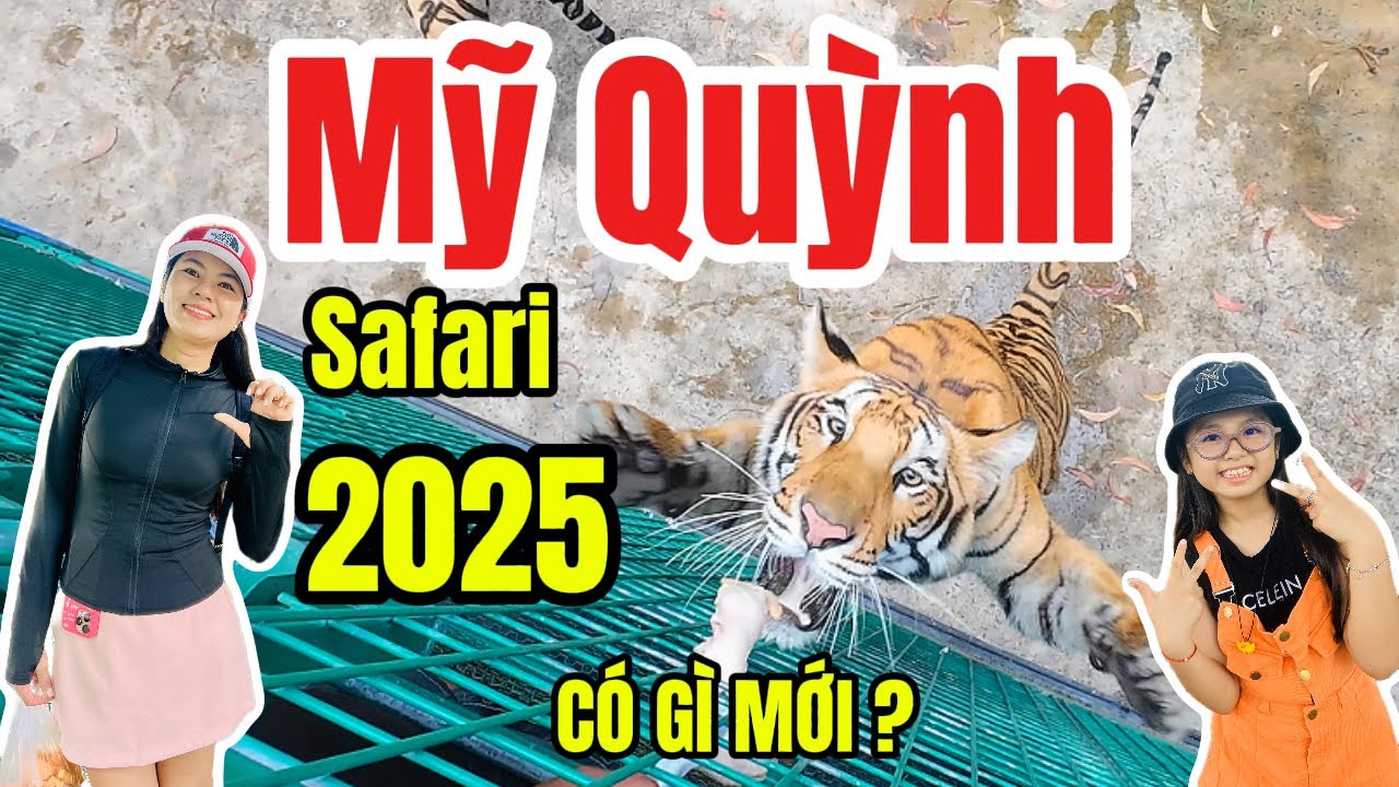 Mỹ Quỳnh Safari 2025: Có gì mới ? Trải nghiệm vườn thú hoang dã cực đã | Phong Tt Vlogs