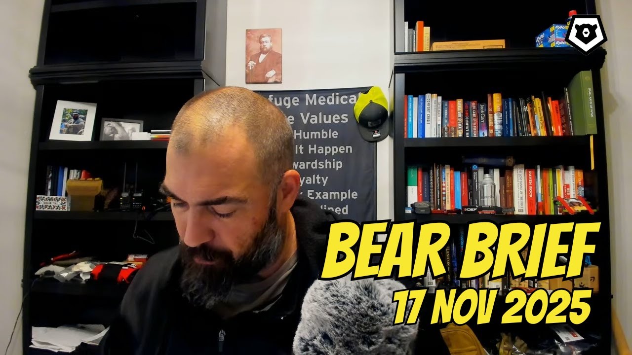 Сетка вниз: когда и как | Bear Brief 17 ноября 2025 г.