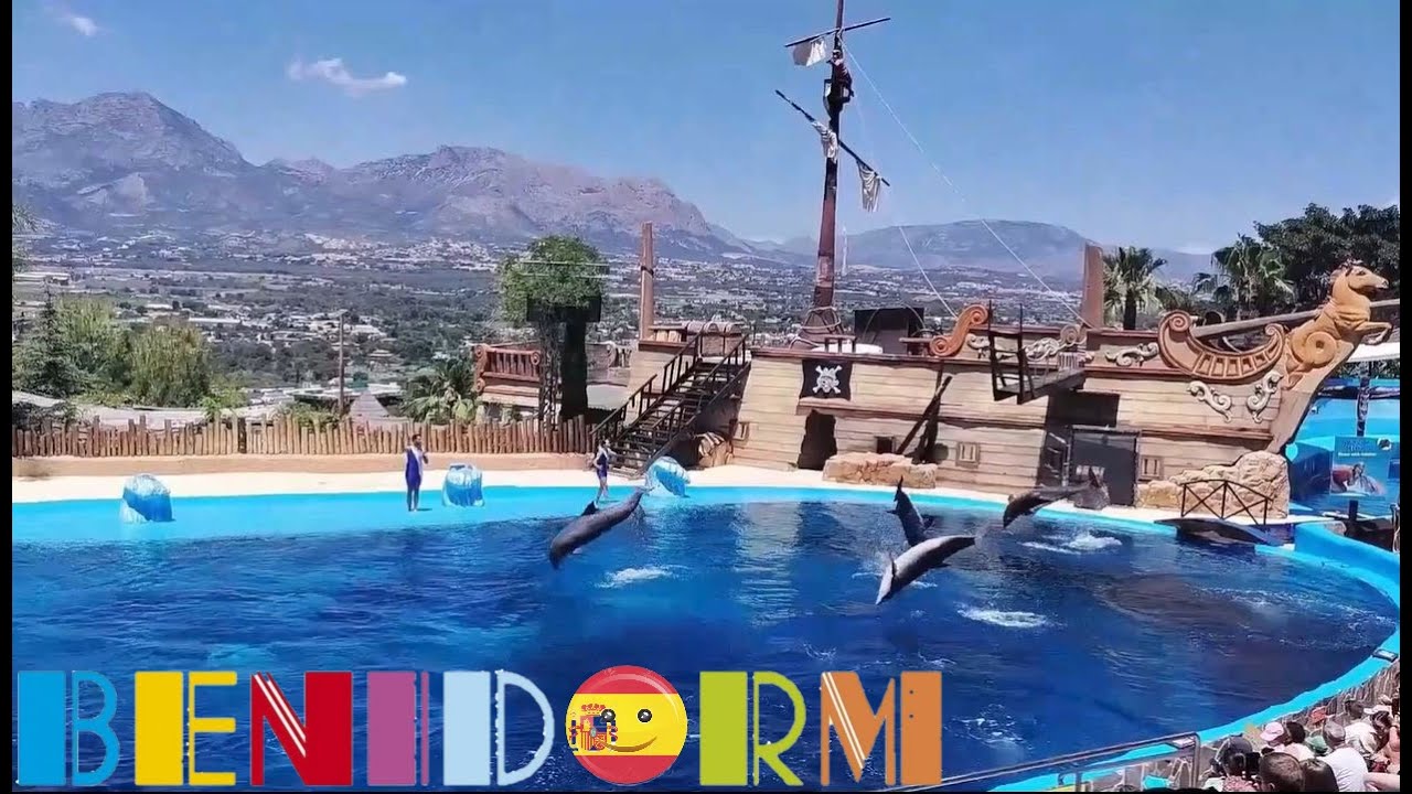 Benidorm's MUNDOMAR ~ DOLPHINS! Sealions! MINI SEAWORLD! An Extensive Tour!☀️🌊🦩 🐬#benidorm #seaworld